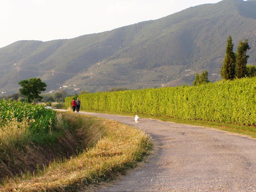 Agriturismo La Pisana Természet fotó